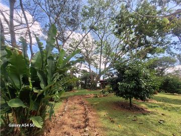 Venta Finca Hotel Tebaida Quindio Colombia COD: 8431951