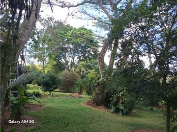 Venta Finca Hotel Tebaida Quindio Colombia COD: 8431951