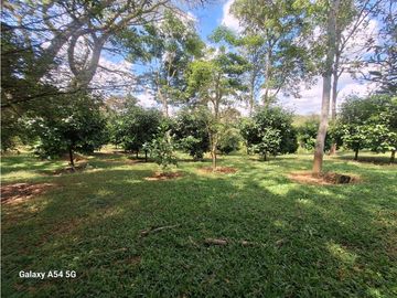 Venta Finca Hotel Tebaida Quindio Colombia COD: 8431951