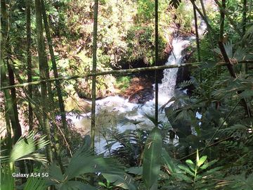 Venta Finca Hotel Tebaida Quindio Colombia COD: 8431951
