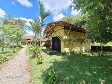 Venta Finca Hotel Tebaida Quindio Colombia COD: 8431951