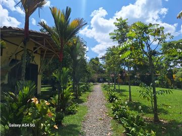 Venta Finca Hotel Tebaida Quindio Colombia COD: 8431951