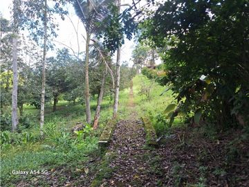 Venta Finca Hotel Tebaida Quindio Colombia COD: 8431951