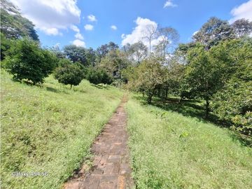 Venta Finca Hotel Tebaida Quindio Colombia COD: 8431951