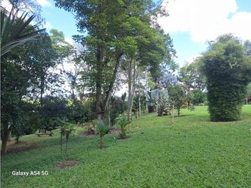 Venta Finca Hotel Tebaida Quindio Colombia COD: 8431951