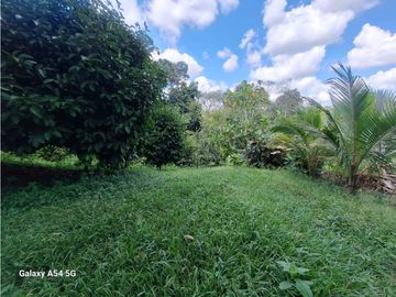 Venta Finca Hotel Tebaida Quindio Colombia COD: 8431951