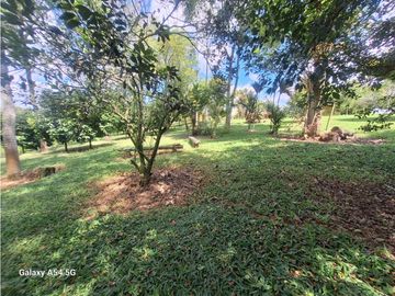 Venta Finca Hotel Tebaida Quindio Colombia COD: 8431951