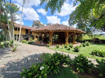 Venta Finca Hotel Tebaida Quindio Colombia COD: 8431951