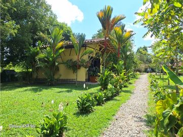 Venta Finca Hotel Tebaida Quindio Colombia COD: 8431951