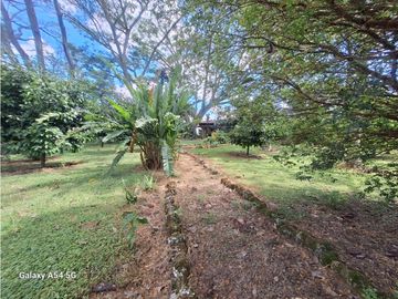 Venta Finca Hotel Tebaida Quindio Colombia COD: 8431951