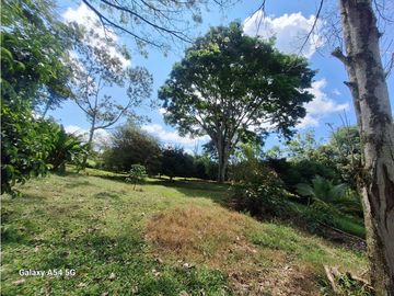 Venta Finca Hotel Tebaida Quindio Colombia COD: 8431951