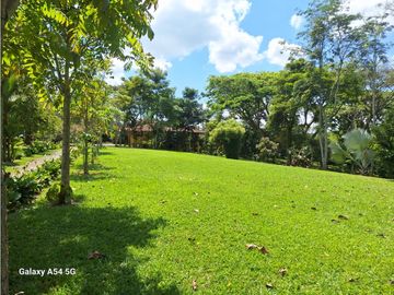 Venta Finca Hotel Tebaida Quindio Colombia COD: 8431951