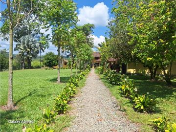 Venta Finca Hotel Tebaida Quindio Colombia COD: 8431951