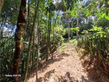 Venta Finca Hotel Tebaida Quindio Colombia COD: 8431951