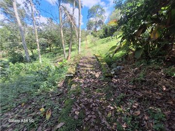 Venta Finca Hotel Tebaida Quindio Colombia COD: 8431951