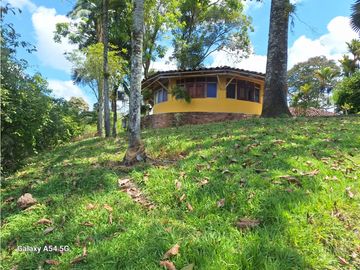 Venta Finca Hotel Tebaida Quindio Colombia COD: 8431951