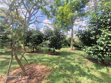 Venta Finca Hotel Tebaida Quindio Colombia COD: 8431951