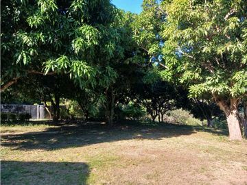 Eco Cabins and Farm on the way to Tayrona Park Santa Marta Colombia