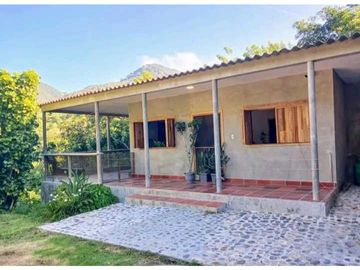Eco Cabins and Farm on the way to Tayrona Park Santa Marta Colombia