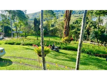 Finca de 25.000m2 en venta - Santa Elena El Cerrito Valle Colombia