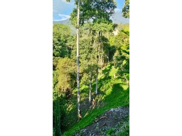 Finca de 25.000m2 en venta - Santa Elena El Cerrito Valle Colombia
