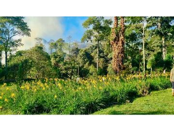 Finca de 25.000m2 en venta - Santa Elena El Cerrito Valle Colombia