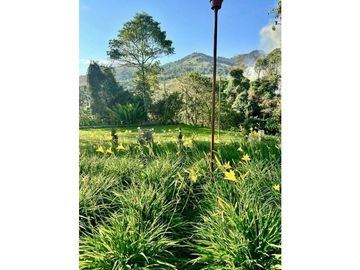 Finca de 25.000m2 en venta - Santa Elena El Cerrito Valle Colombia