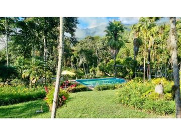 Finca de 25.000m2 en venta - Santa Elena El Cerrito Valle Colombia