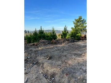 VENDE EN FUNDO LA QUIRIGUA PARCELA 5000M2 A 3MIN DE LAGO TORCA Y 7MIN DE LAGO VICHUQUEN .