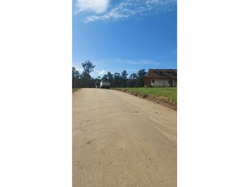 VENDE EN FUNDO LA QUIRIGUA PARCELA 5000M2 A 3MIN DE LAGO TORCA Y 7MIN DE LAGO VICHUQUEN .