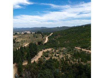 VENDE EN FUNDO LA QUIRIGUA PARCELA 5000M2 A 3MIN DE LAGO TORCA Y 7MIN DE LAGO VICHUQUEN .