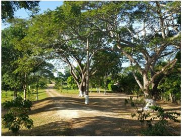 Venta Finca Bayunca, Bolívar, Colombia