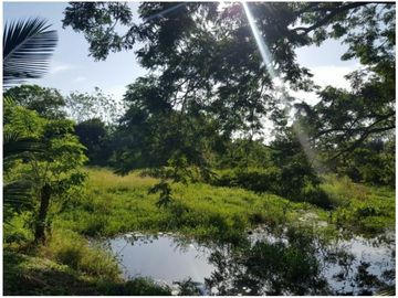 Venta Finca Bayunca, Bolívar, Colombia