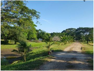 Venta Finca Bayunca, Bolívar, Colombia