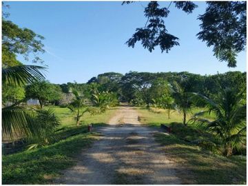Venta Finca Bayunca, Bolívar, Colombia