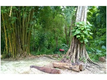 Venta Finca Turbaco, Bolívar, Colombia