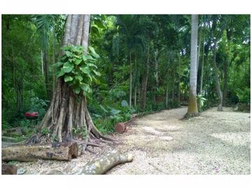 Venta Finca Turbaco, Bolívar, Colombia