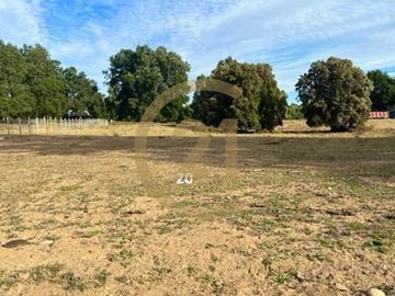 Parcela en Lanco a orilla del río Cruces