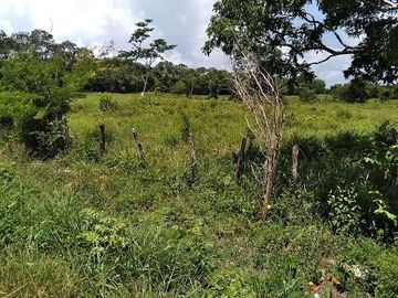 ¡Excelente terreno con Cenote en venta! Valladolid, Yucatán.