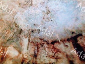¡Excelente terreno con Cenote en venta! Valladolid, Yucatán.