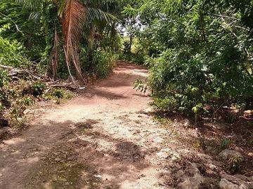 ¡Excelente terreno con Cenote en venta! Valladolid, Yucatán.