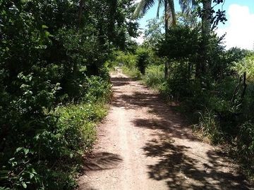 ¡Excelente terreno con Cenote en venta! Valladolid, Yucatán.