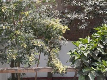 Casa En Venta En Urb. El Pinar - Comas