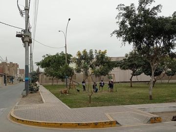Se Vende Casa De Tres Pisos Frente Al Terminal Pesquero