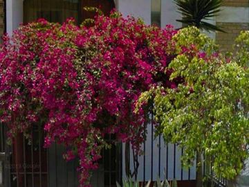 VENTA DE CASA EN LANCASTER-ATE