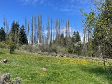Chacra en  Las Golondrinas - Chubut