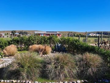 Parcela 5.000 M2, con Casa, Santo Domingo