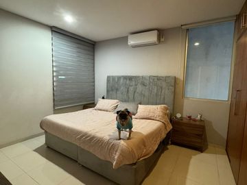 ¡Tu Nuevo Hogar en Nueva Galicia! Estilo, Confort y Seguridad