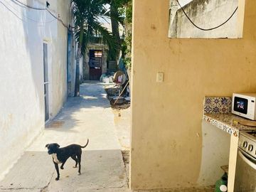 Casa en venta para remodelar en el Centro de Mérida, Yucatán