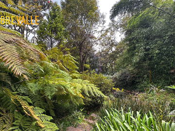 VENTA CASA EN VALLE DE BRAVO - CASA DELICIAS
